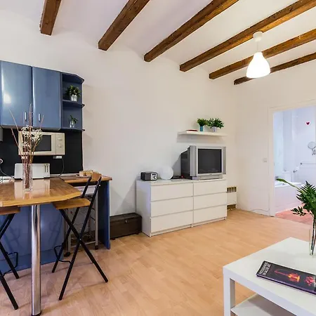 Loft Gracia * Barcelona